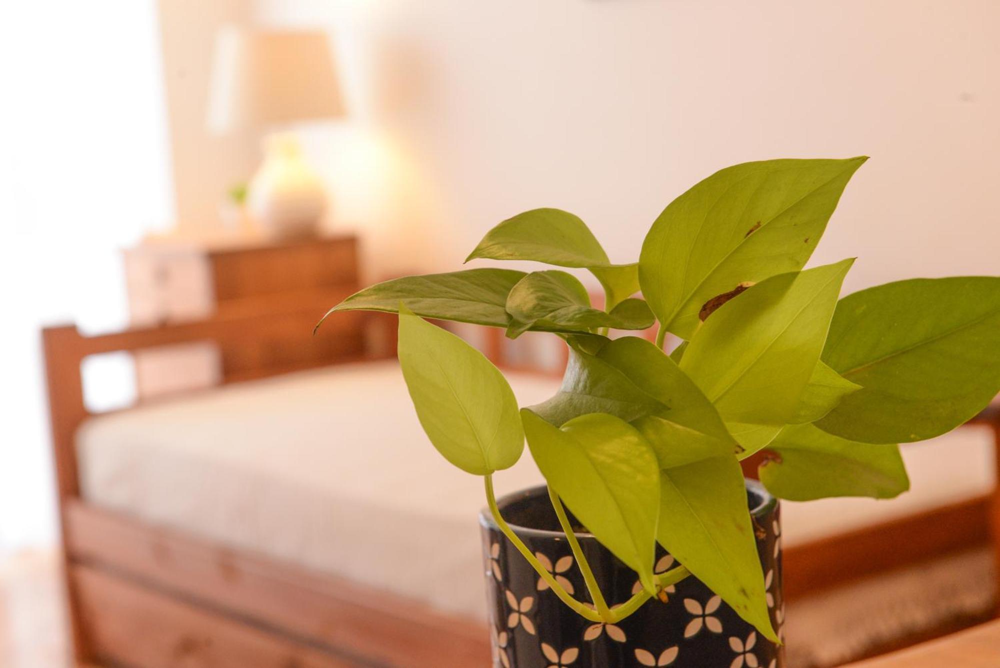 Imperdible En Palermo Botanico La Rural Seguridad 24Hs Apartment บัวโนสไอเรส ภายนอก รูปภาพ